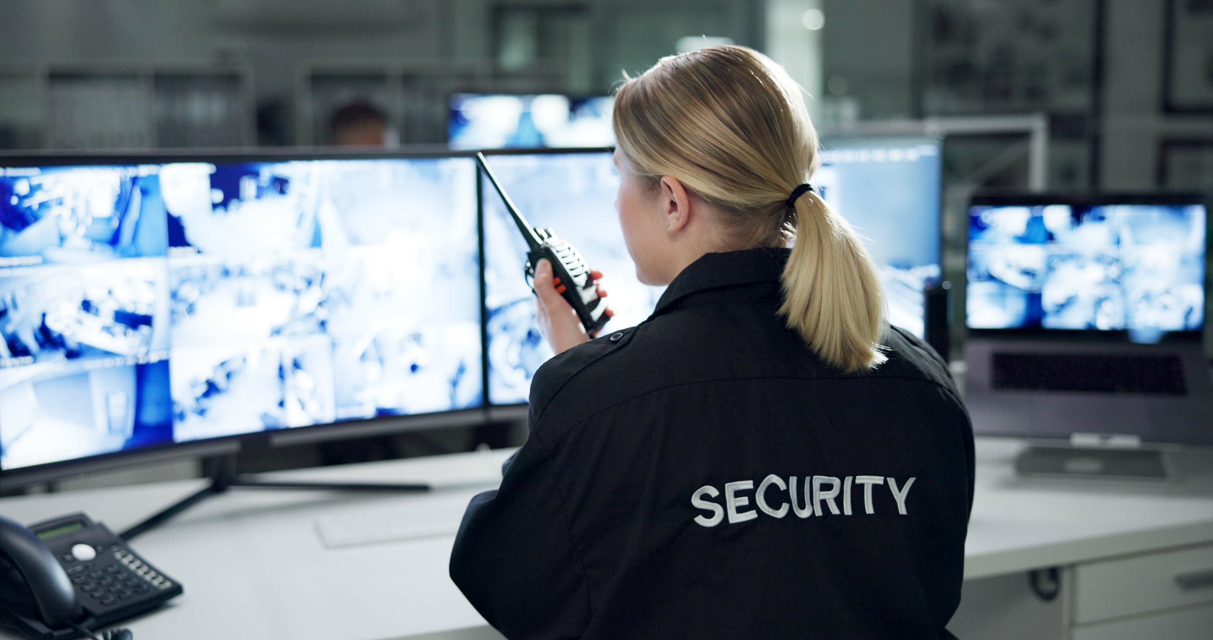 Security Services professional on site